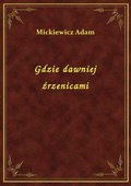 Gdzie dawniej źrzenicami - ebook