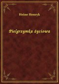 Pielgrzymka życiowa - ebook