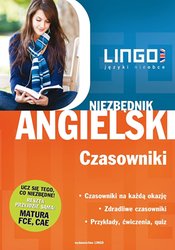 : Niezbędnik angielski. Czasowniki - ebook