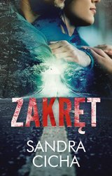 : Zakręt - ebook