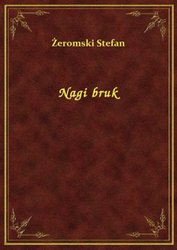 : Nagi bruk - ebook