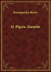 : U Pięciu Stawów - ebook